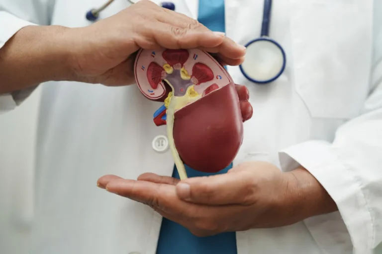 Gabinet urologiczny – jakie badania można wykonać na miejscu i do czego służą?