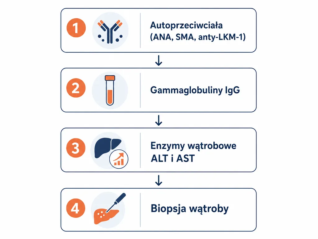 Diagram czterech kroków diagnostyki autoimmunologicznego zapalenia wątroby od przeciwciał do biopsji