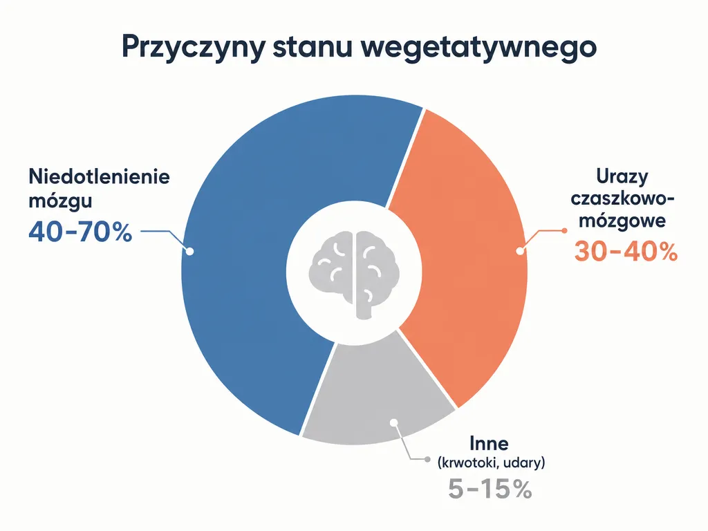 Infografika pokazująca główne przyczyny stanu wegetatywnego w procentach