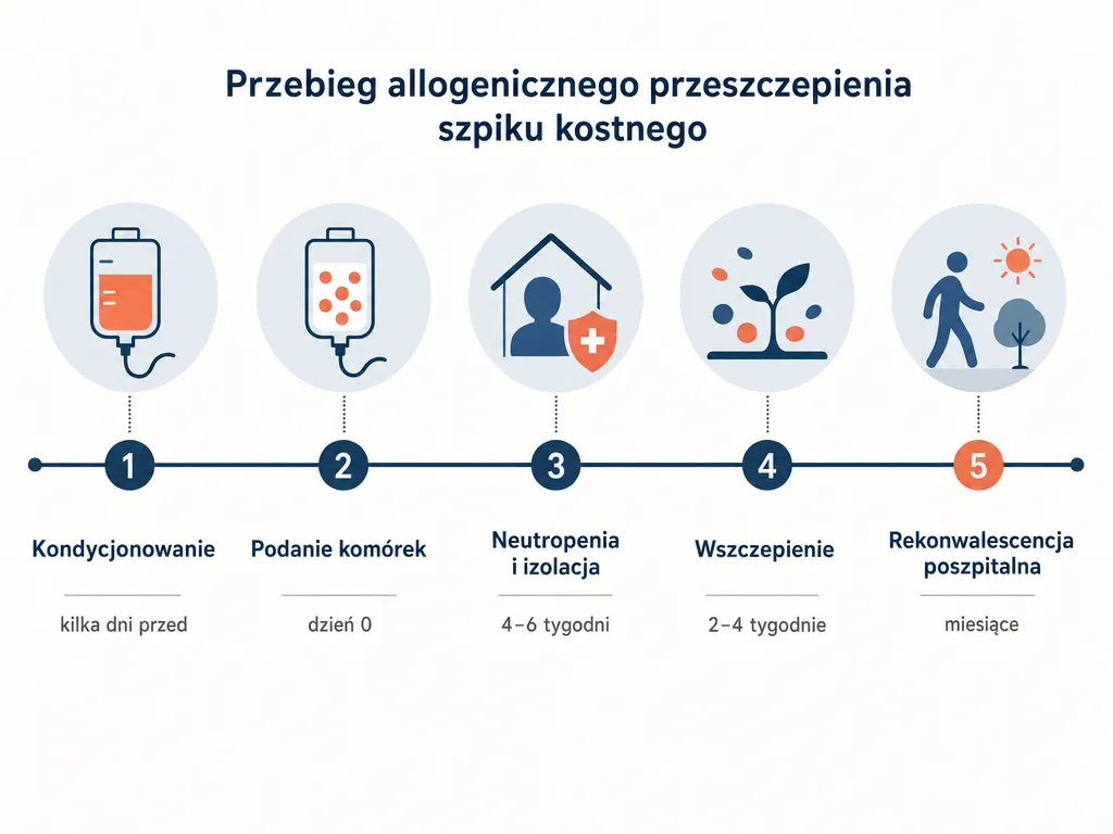 Oś czasu przebiegu przeszczepu allogenicznego od kondycjonowania do rekonwalescencji