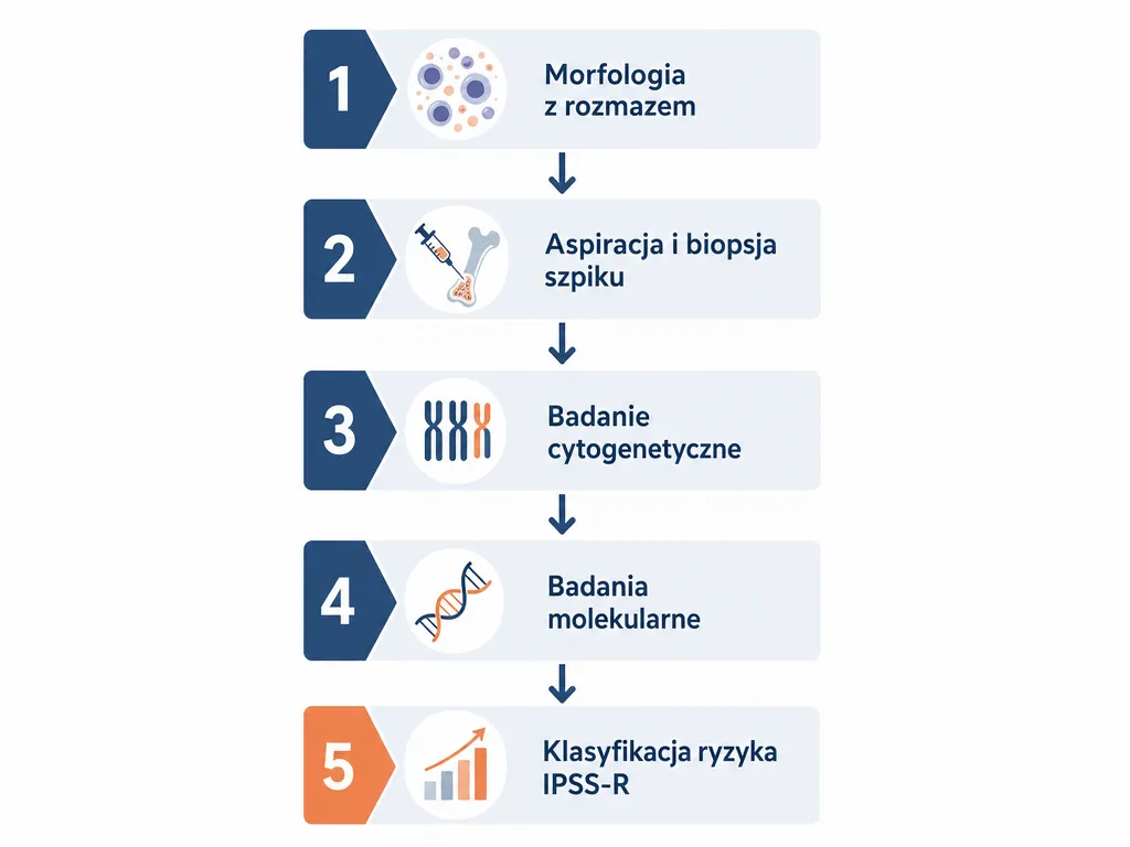 Diagram krok po kroku pokazujący pięć etapów diagnostyki zespołu mielodysplastycznego od morfologii do klasyfikacji IPSS-R