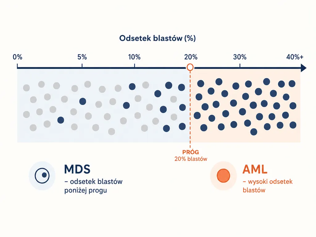 Diagram pokazujący przejście MDS w ostrą białaczkę szpikową AML w zależności od narastającego odsetka blastów