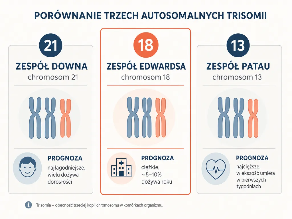 Infografika porownujaca trzy trisomie autosomalne: zespol Downa, Edwardsa i Patau wraz z rokowaniami