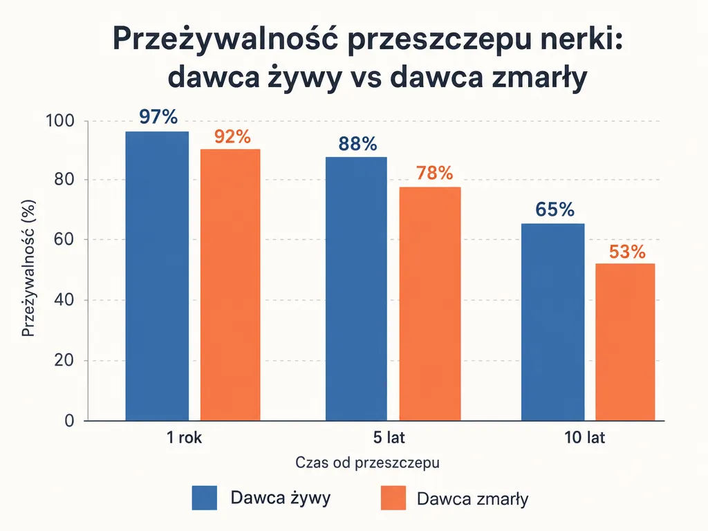 Wykres słupkowy porównujący przeżywalność przeszczepu nerki od dawcy żywego i zmarłego w perspektywie 1, 5 i 10 lat