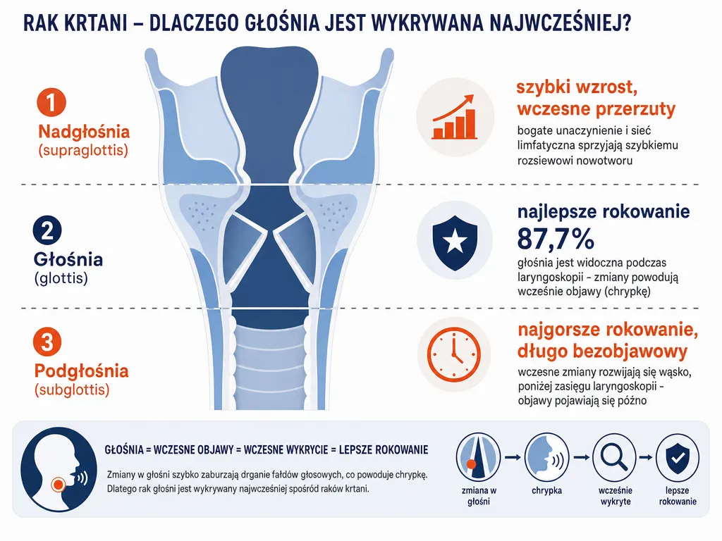Schemat anatomiczny krtani z podziałem na nadgłośnię, głośnię i podgłośnię wraz z rokowaniem dla każdej lokalizacji guza