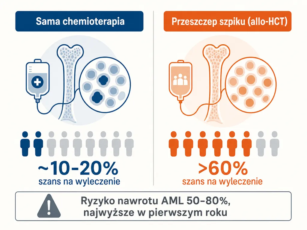 Diagram porównujący szanse na wyleczenie AML przy chemioterapii i przeszczepie szpiku